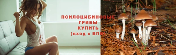 дживик Липки