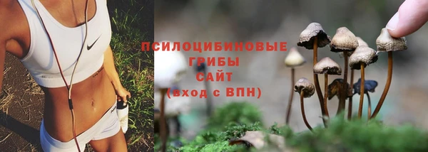 дживик Липки