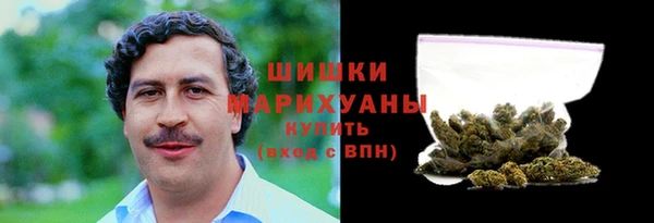 дживик Липки