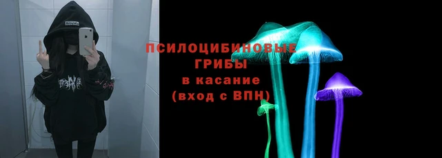 дживик Липки