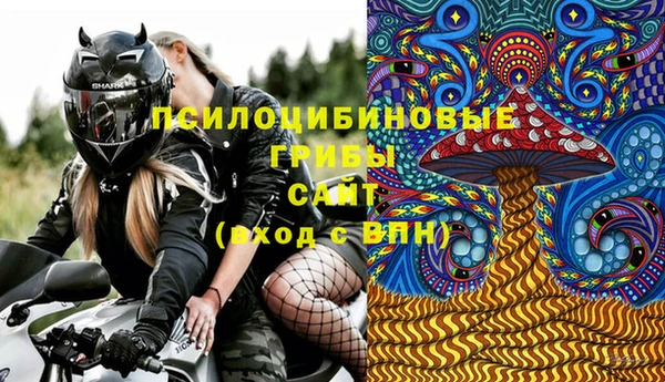 дживик Липки