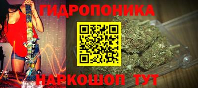 2c-b Канаш
