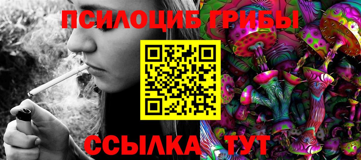 Галлюциногенные грибы Psilocybe Муравленко