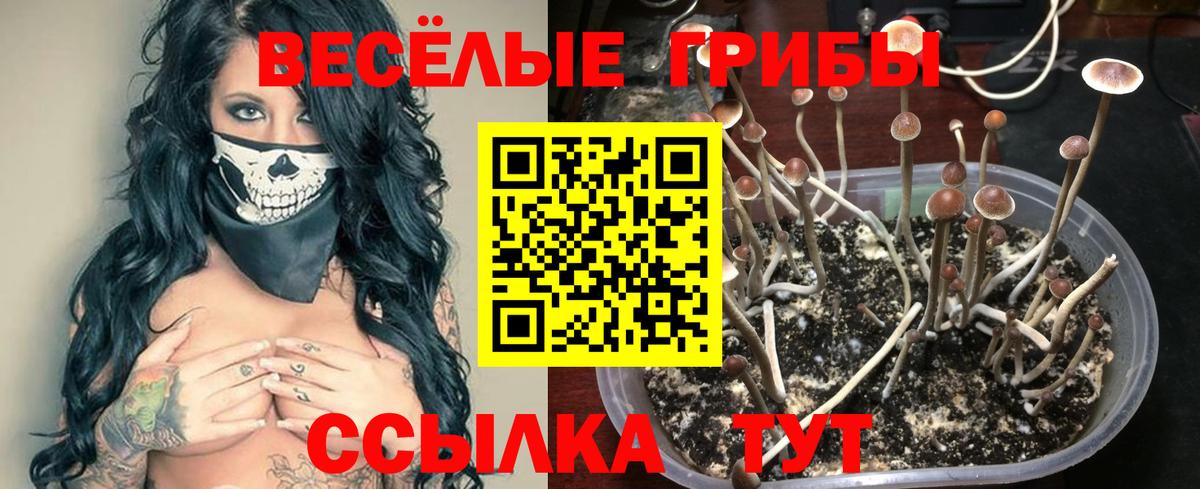 Муравленко  Псилоцибиновые грибы мухоморы  Псилоцибиновые грибы Magic Shrooms  Вход с VPN 